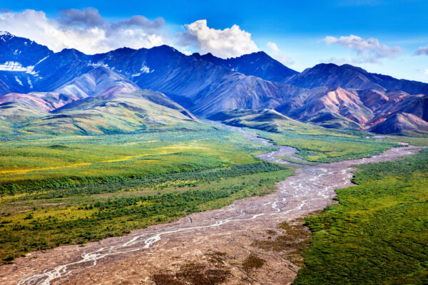 denali-national-park-alaska-polychrome-pass-0614-xl