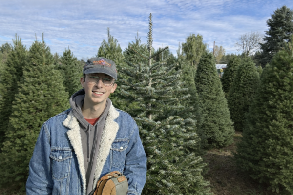 willatchristmastreefarm